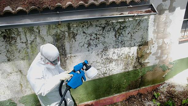 Top rated local Crawl Space Mold Remediation specialists in Somerville, TN